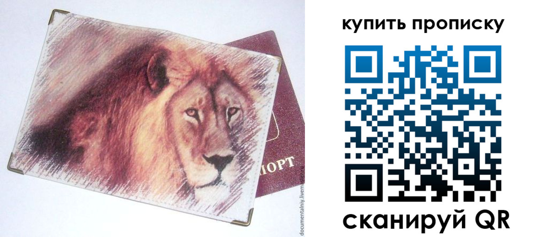 прописка паспорт в Моздоке